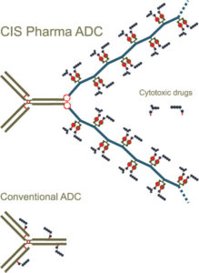 CIS Pharma's antibody-drug-conjugate in comparison to conventional ADCs