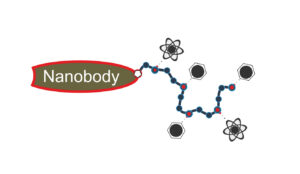 Nanobody-Web-22.7