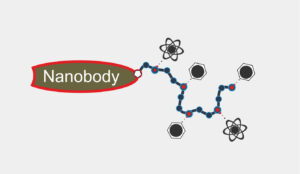 Nanobody-Web1-22.7